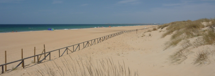 El Palmar north beach Cadiz province Spain Costa de la Luz